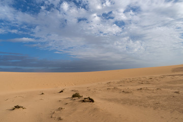 Corralejo Dunes Natural Park, Fuerteventura, Spain