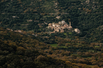 Fototapeta na wymiar Ancient mountain village of Avapessa in Corsica