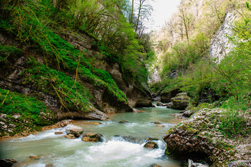 Obraz premium mountain river in the forest