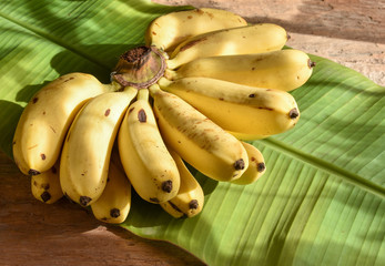 Bunch of ripe bananas on green banana leaf shaded by afternoon sunlight. Sweet and tasty local bananas in Thailand. © pondpony