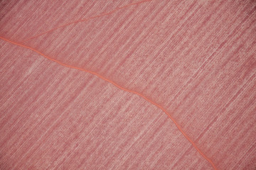 A track appears as a scar across a landscape of red soil as seen from above.
