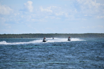 Naklejka premium caribe