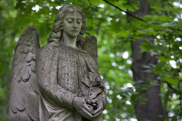 Fototapeta na wymiar grieving angel against a background of dark green foliage
