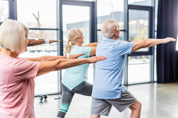 rear view of senior athletes synchronous doing exercise at gym