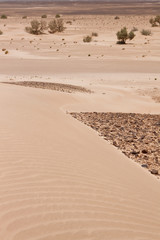 Gometryczna Sahara 