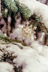 Christmas star hanging on the branches of a snow-covered tree 