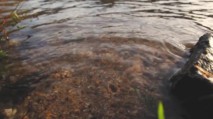LITTLE RIVER BANK WITH SUNLIGHT