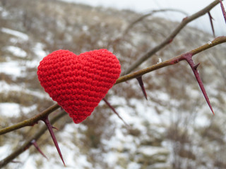Love heart on the thorny branches, red knitted symbol in winter weather. Valentine's day, concept...