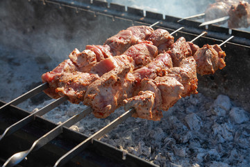 Shish kebab