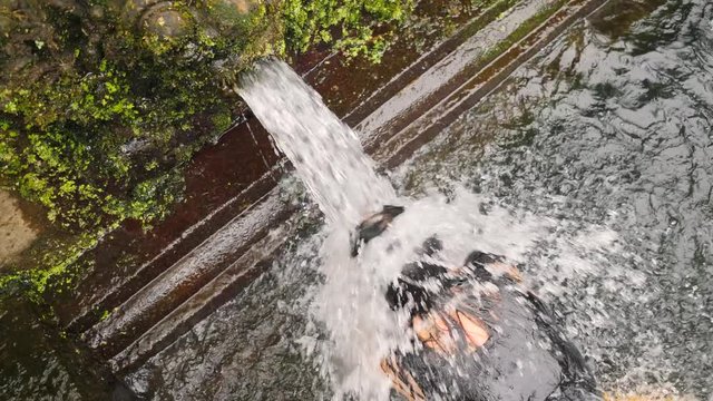 Young Woman Praying at Holy Spring Water Temple. Traditional Balinese Hindu Spiritual Ceremony of Purification. 4K Slowmotion. Gugung Kawi, Bali, Indonesia.
