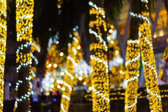Blurred Decorative outdoor string lights hanging on tree in the garden at night time - decorative Christmas lights - happy new year 