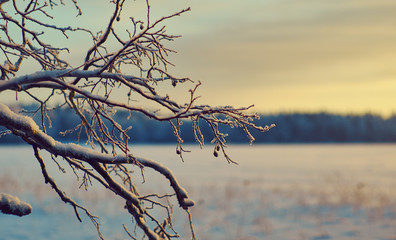 Winter  Beautiful Christmas landscape