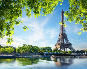 Schilderijen op glas Majestueuze Eiffeltoren © Givaga