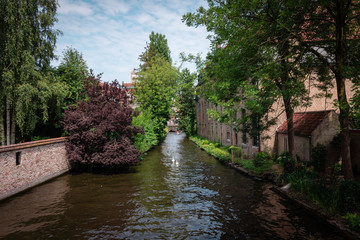Fototapeta na wymiar Bruges canals on a sunny day with white clouds. Picturesque landscape Swans swimming in the canal