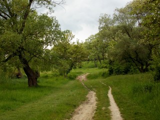 path in park