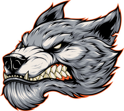 Head of a fierce werewolf wolf