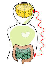 Le deuxième cerveau