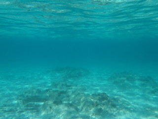 Fototapeta na wymiar Underwater ocean photograph, blue and turquoise tones, looking up into sunlight from under the sea
