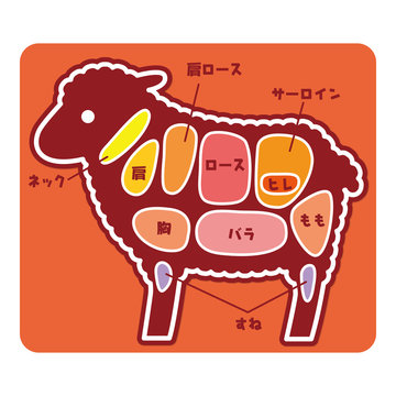 食物図解/羊肉の部位