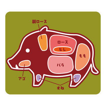 食物図解/猪肉の部位