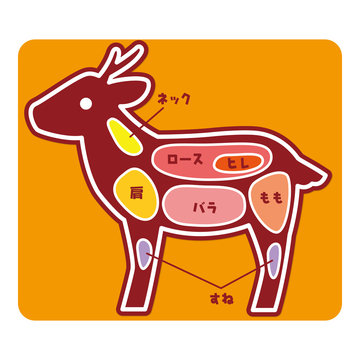 食物図解/鹿肉の部位