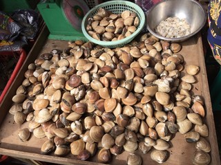 Detalle de comida, almejas, en un mercado asiatico. Myanmar