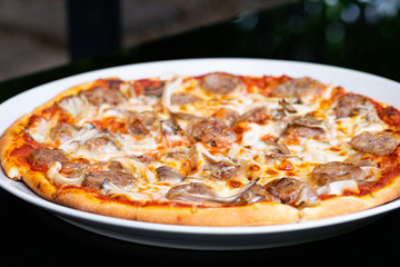 Fresh pizza with tomatoes, cheese and sausage
