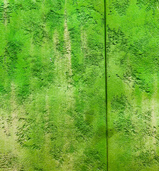 colorfull vibrant outdoor bumpy freh green color perspective vintage wall texture
