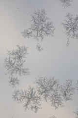 Fototapeta na wymiar Icy shapes on a frozen window