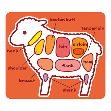 食物図解/羊肉の部位（英語）