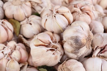 garlic at the market