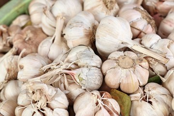 garlic at the market