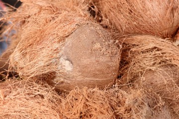 Coconut at street food