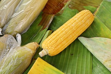 Boiled corn at market
