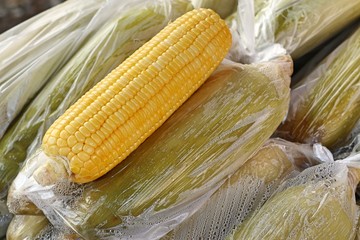 Boiled corn at market