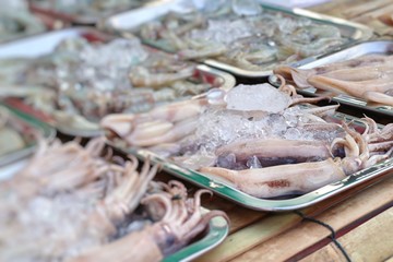 Fresh squid in market