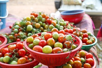 tomatoes at the market