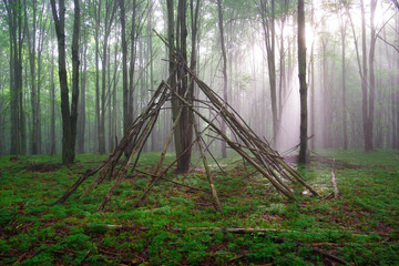 Mysterious and mystical primitive bushcraft shelter in the fog and sunlight in a moss covered hardwood forest.  © James