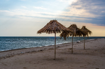 three straw beach umbrellas on an empty seashore on a clear day