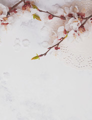 Blooming branch with white petals on the marble background,