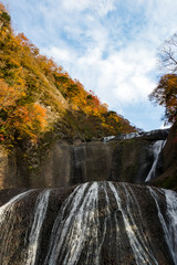 Fototapeta premium Autumn leaves of Fukuroda Falls in Daigo-cho, Kuji-district, Ibaraki Prefecture, Japan / 