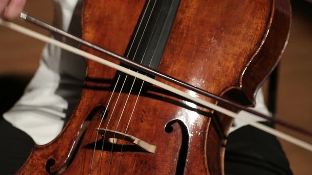cello player bow 