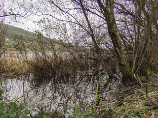 The shore of Lake Doniños