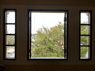 side window tree view outside. view from window