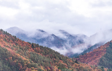 Autumn colors at Fujikawaguchiko - a Japanese resort town in the northern foothills of Mount Fuji. It surrounds Lake Kawaguchi, one of the scenic Fuji Five Lakes in Japan