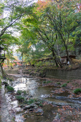 Autumn leaves around Tsukimachi waterfall in Kuji district  Daigo-town, Ibaraki prefecture, Japan