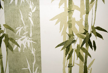 Bamboo / Texture - Bamboo in green and tones  - 240640733