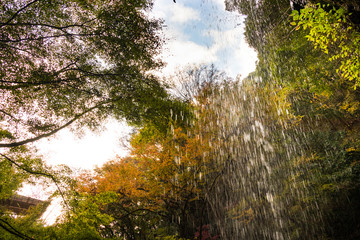 Autumn leaves around Tsukimachi waterfall in Kuji district  Daigo-town, Ibaraki prefecture, Japan