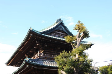 Fototapeta na wymiar 千葉県の法華経寺の屋根