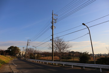 よく晴れた冬の散歩道